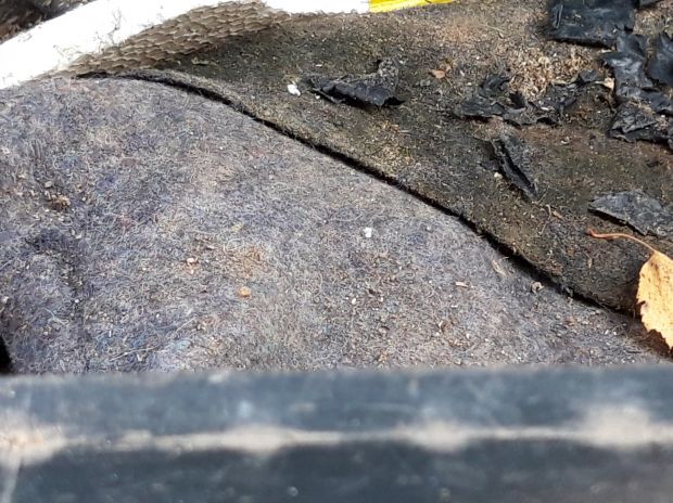 žiičná lepenka v kontejneru na směsný komunální odpad